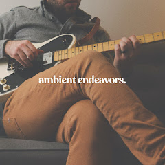 Ambient Endeavors net worth