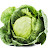 Cabbage454