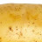 PotatoDaddy493