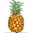 @pineapel2100