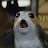 Porg liberation movement