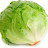 Lechuga