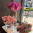@user-ou7zk5hf8i