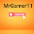MrGamer 11