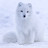 Arctic fox