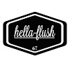 What could hella-flush buy with $254.47 thousand?