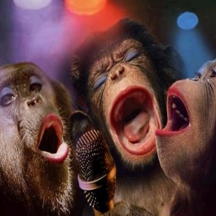 keepintouchtwo Net Worth & Earnings (2026)