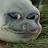 The Sad Seal 2: Electric Boogaloo