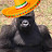 A Mexican Gorilla