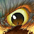 D G Avatar