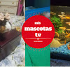 What could mismascotastv buy with $266.03 thousand?