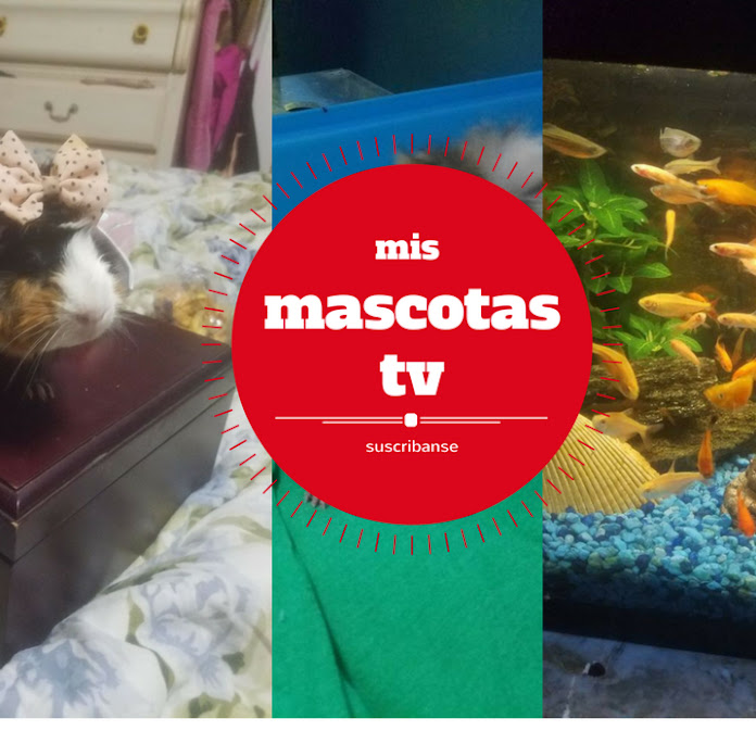 mismascotastv Net Worth & Earnings (2025)