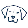What could Dog Named Stella buy with $100 thousand?