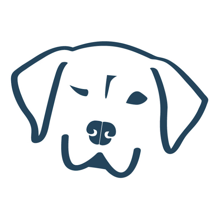 Dog Named Stella Net Worth & Earnings (2026)