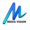 What could Media Vision buy with $100 thousand?