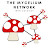 Journey Through The Mycelium Network