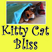 Kitty Cat Bliss
