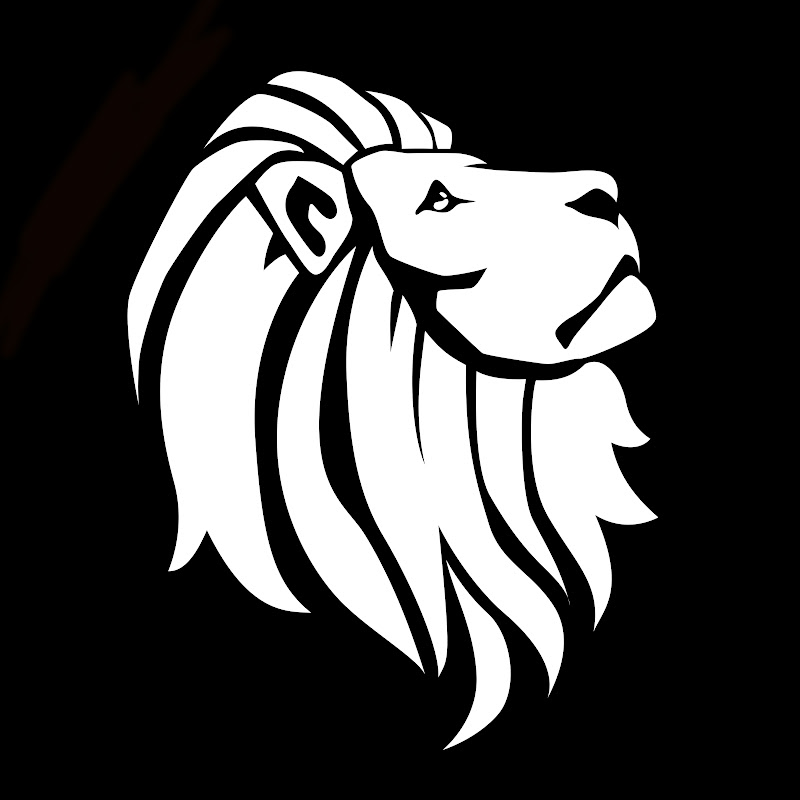 AoC Network Net Worth & Earnings (2024)