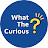 What The Curious