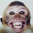 laughing monkey