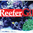 ReeferGil