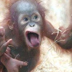 Thumbnail of related channel