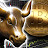 Crypto Bull
