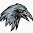 Black Crow