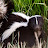 Skunk Man