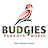 Budgies Parrots world