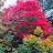 @brianreid4336 Avatar