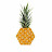 hexagonal pineapple
