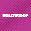 What could Hollyscoop buy with $100 thousand?