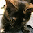 @user-zp6ko7kn5b