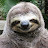 slothhere
