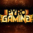 PyroGaming