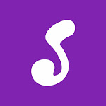 SOLO Net Worth