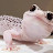 Auto gecko