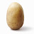 TheAveragePotato