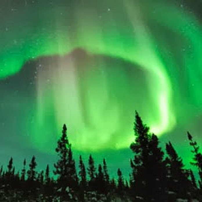 TVR Exploring Net Worth & Earnings (2025)