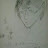 navid Lee Avatar