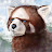 Wastern Red Panda