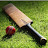 Cricket Universe