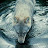 Water Wolf OCE