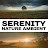 Serenity Relaxation Music Videos
