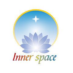 Inner Space Việt Nam net worth