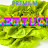 PremiumLettuce