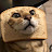 Кот в хлебушк е