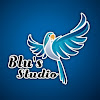 What could Blu's Studio buy with $456.25 thousand?
