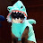 Dogsharkcat
